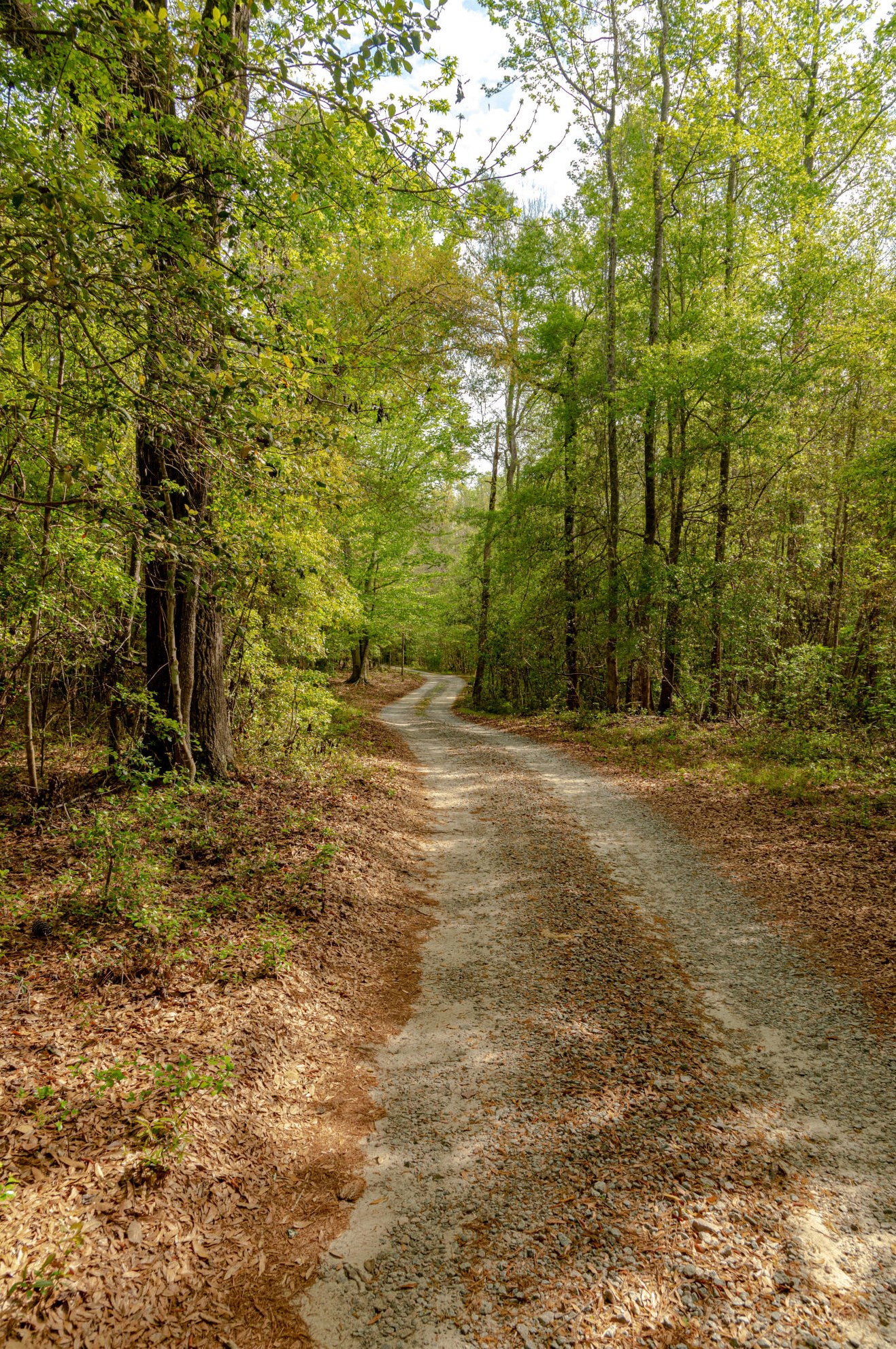 464 Shady Oaks Ln, Walterboro, SC 29488-9459
