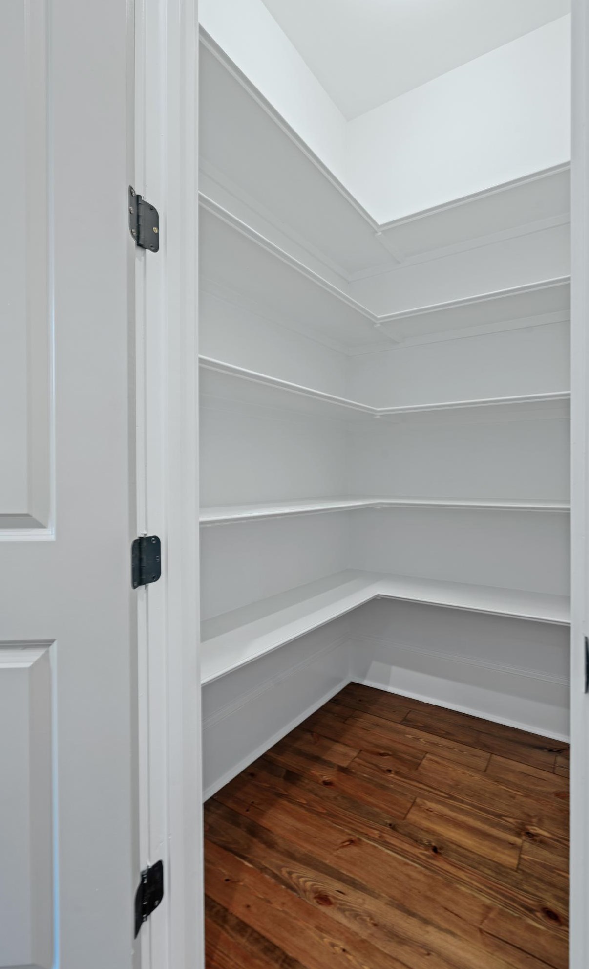 2431 Settlers St, Charleston SC  29492-8374 exterior