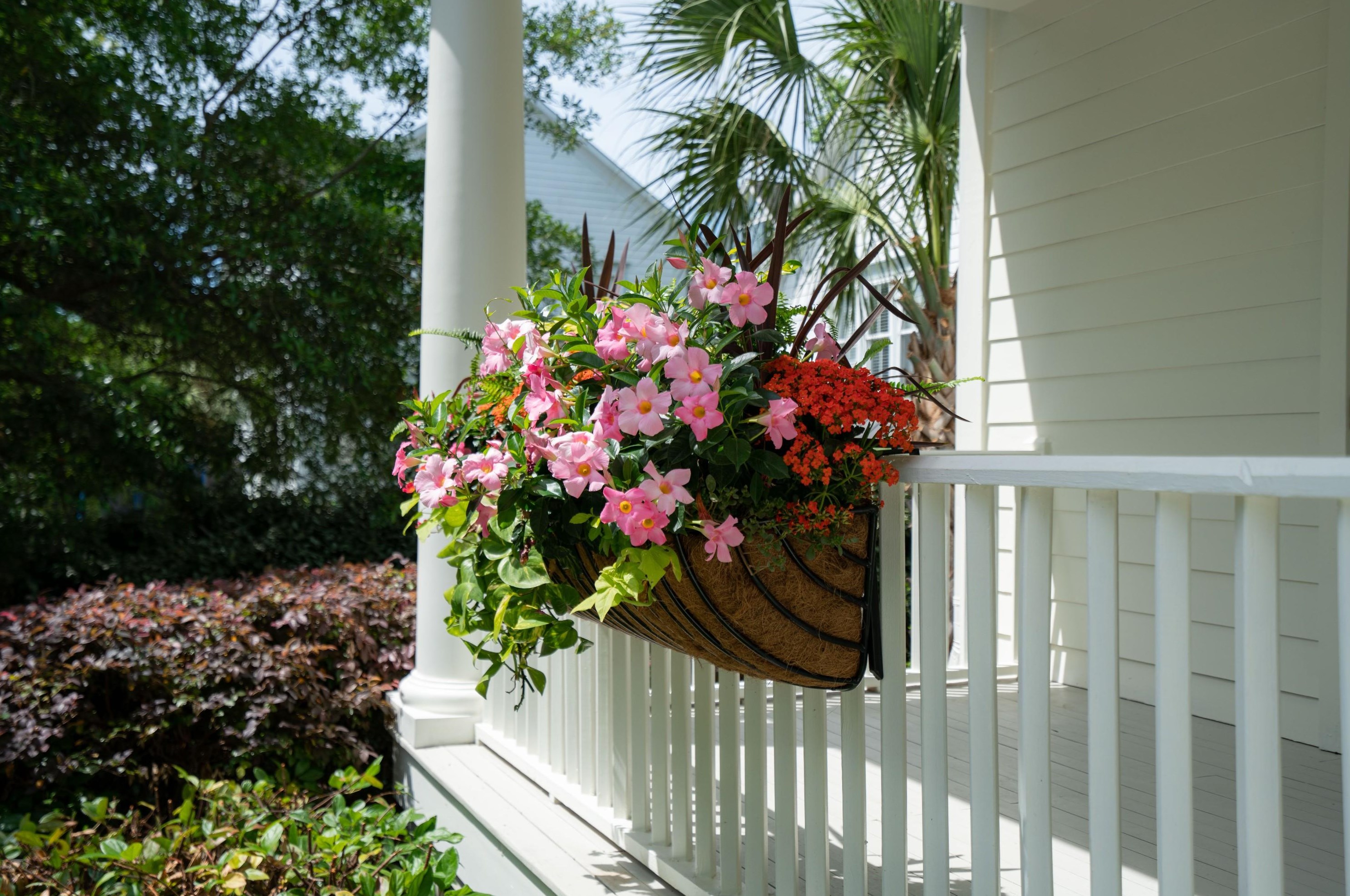 2431 Settlers St, Charleston SC  29492-8374 exterior