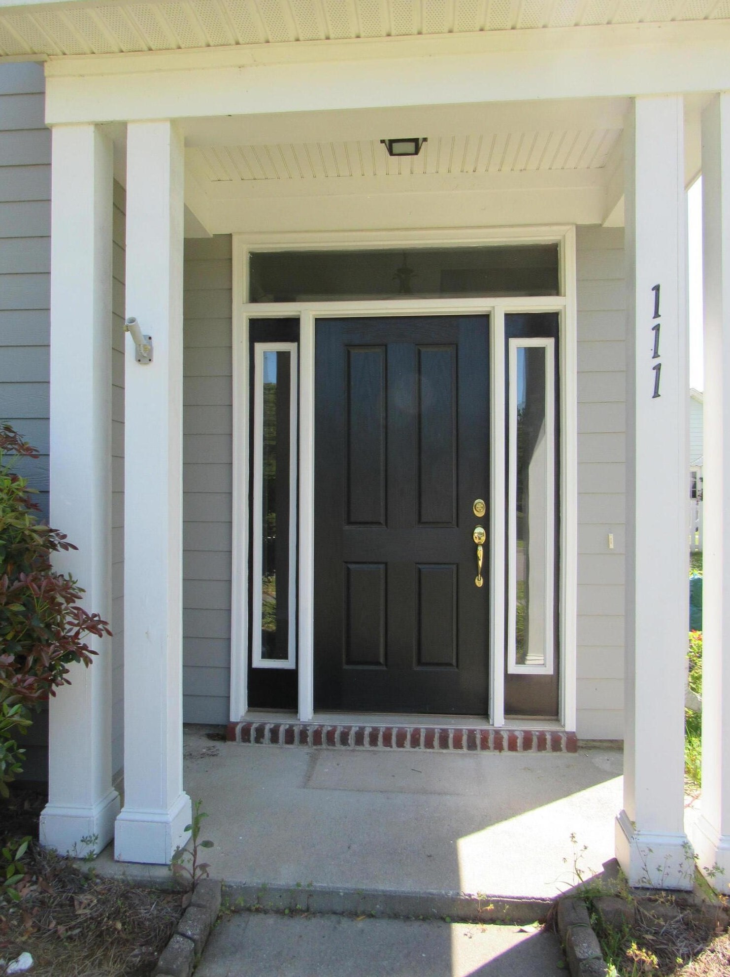 111 Amaranth Ave, Summerville, SC 29483