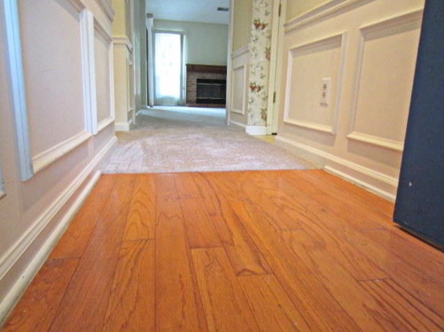 95 Indigo Ln, Charleston SC  29445-5443 exterior