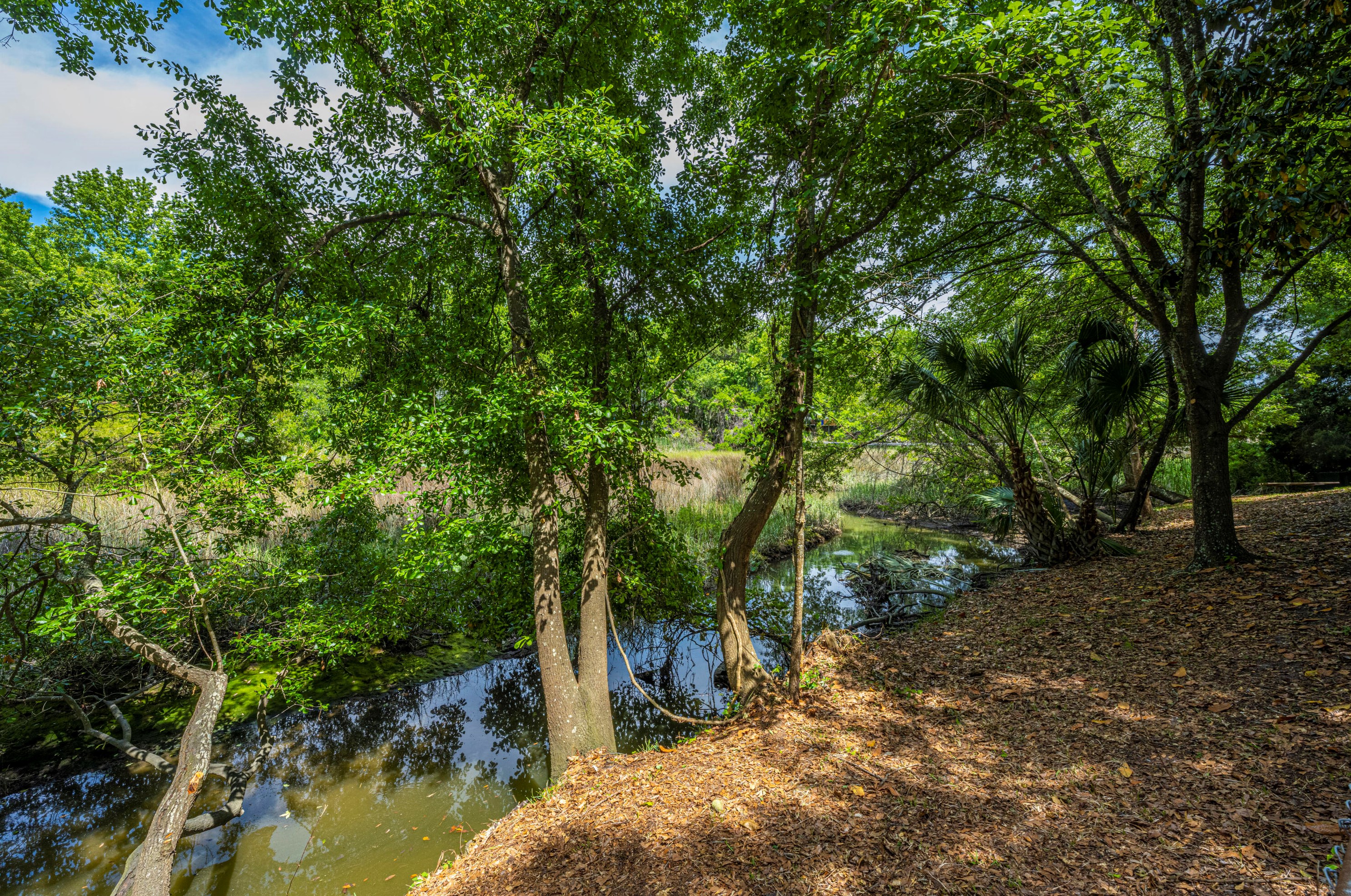 662 Pawley Rd, Mount Pleasant, SC 29464