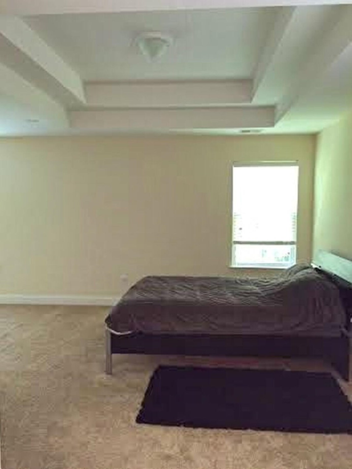 235 Larissa Dr, Charleston SC  29414-9206 exterior