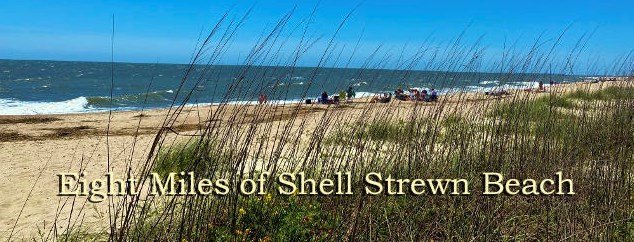 1305 Palmetto Blvd, Edisto, SC 29438