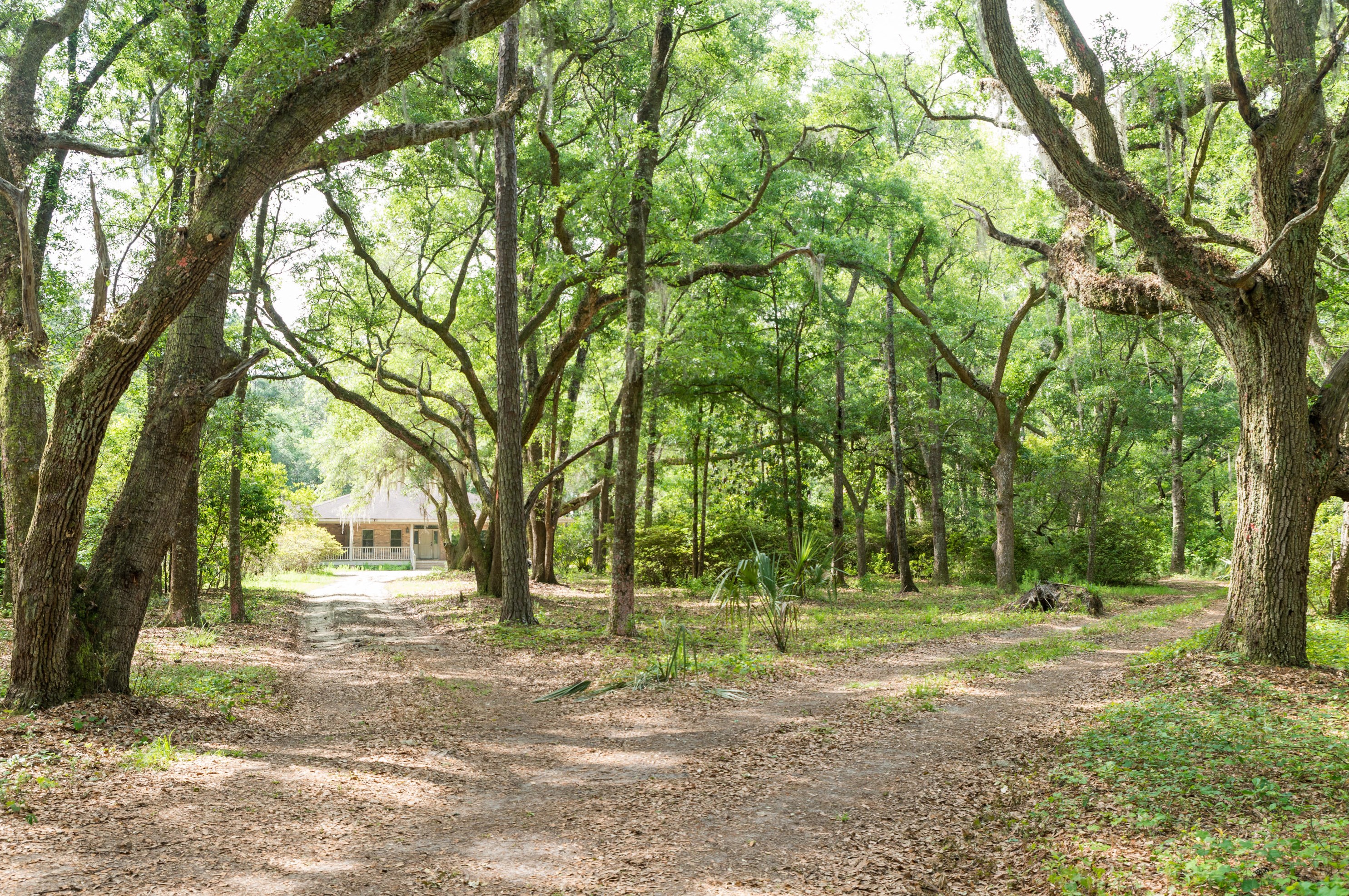 2089 Leadenwah Dr, Wadmalaw Is, SC 29487