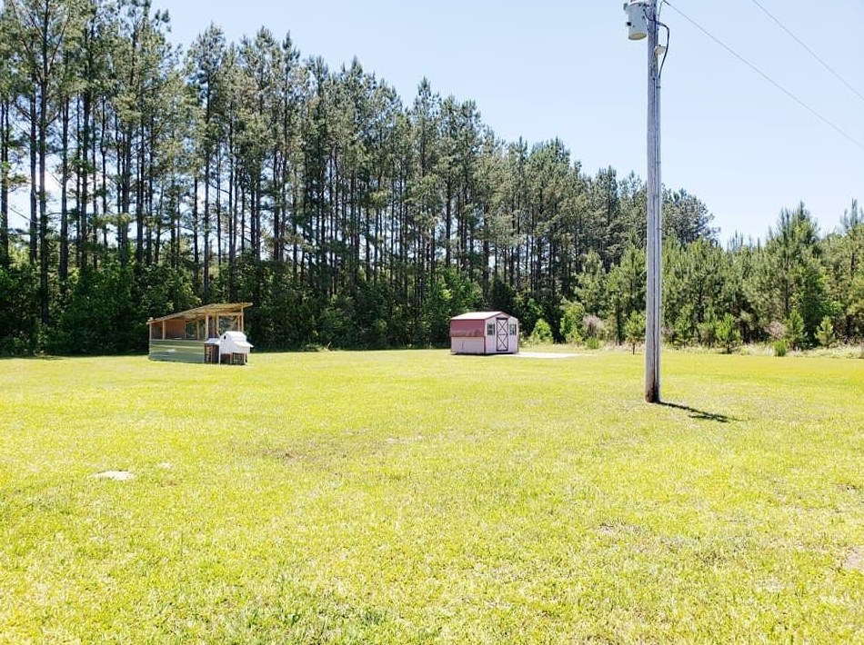 1281 Red Bank Rd, Walterboro SC  29488-7861 exterior