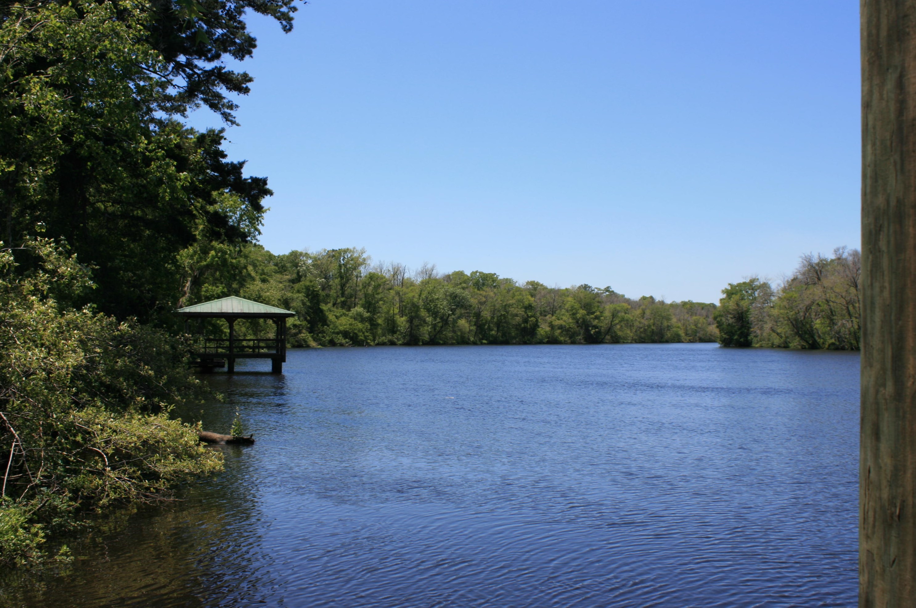 9450 Savannah Hwy, Adams Run, SC 29426