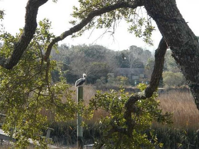 1261 Caperton Way, Charleston SC  29412-8283 exterior