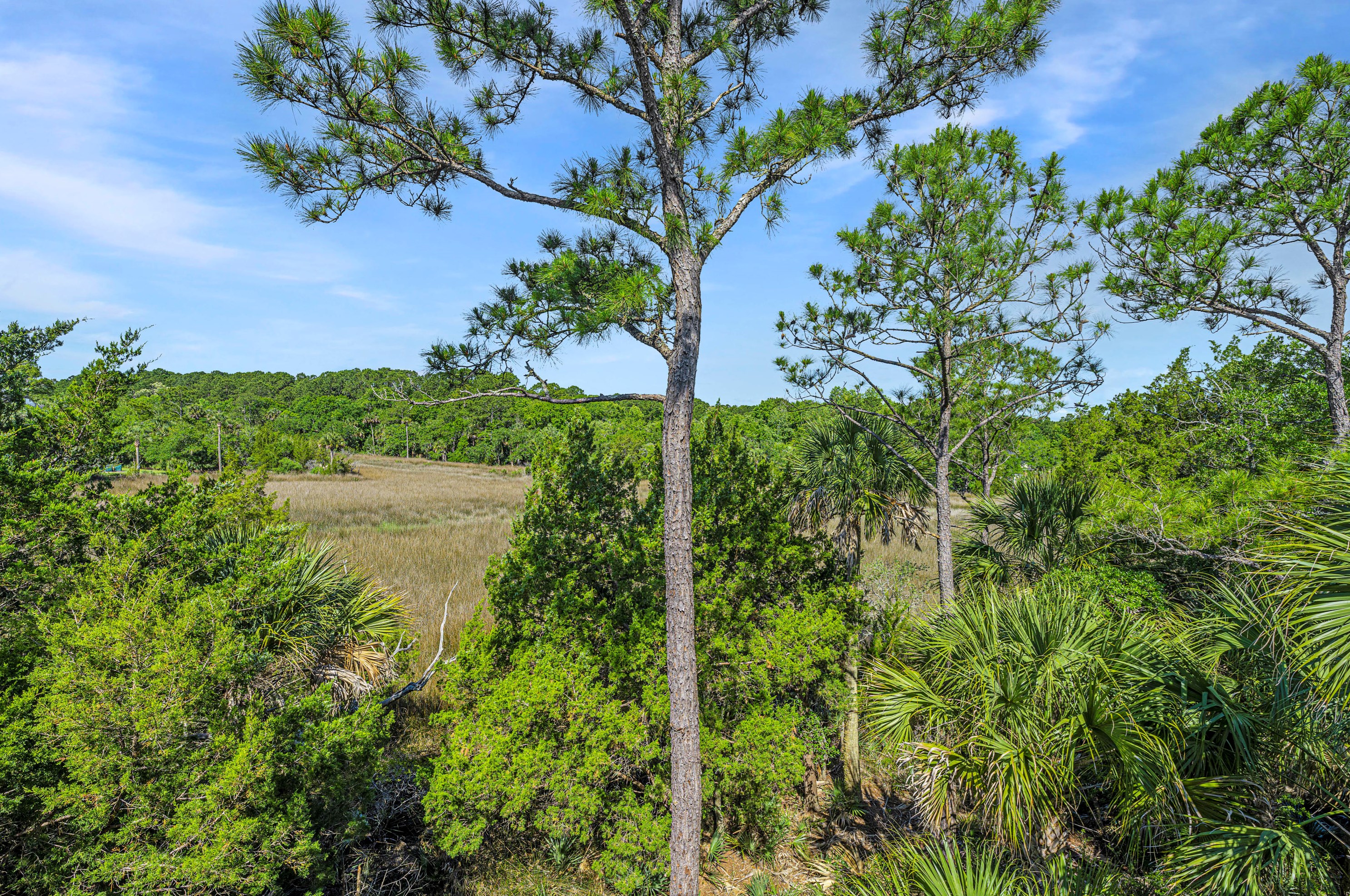 1609 Sewee Fort Rd, Mount Pleasant, SC 29466