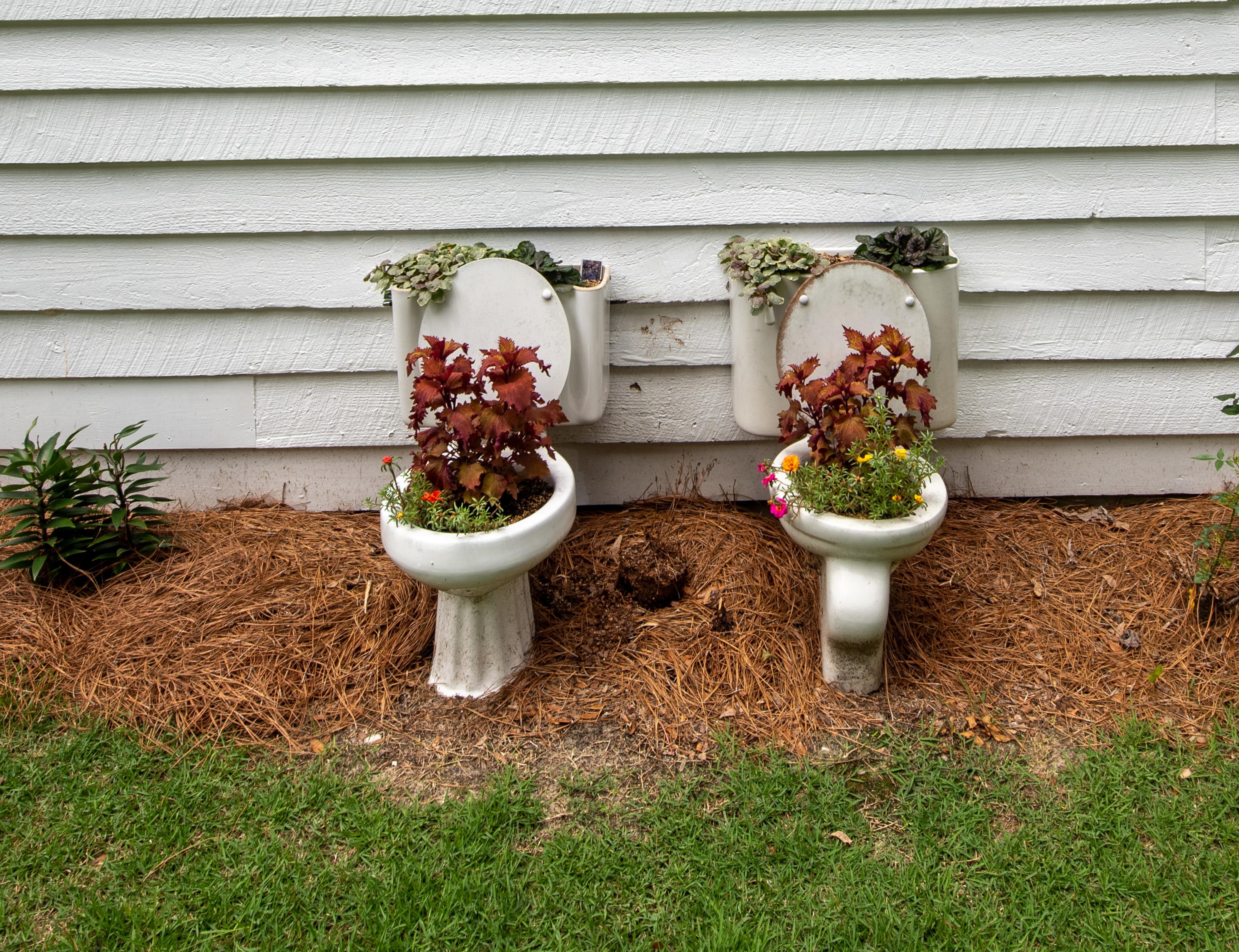 203 Witsell St, Walterboro SC  29488-3050 exterior