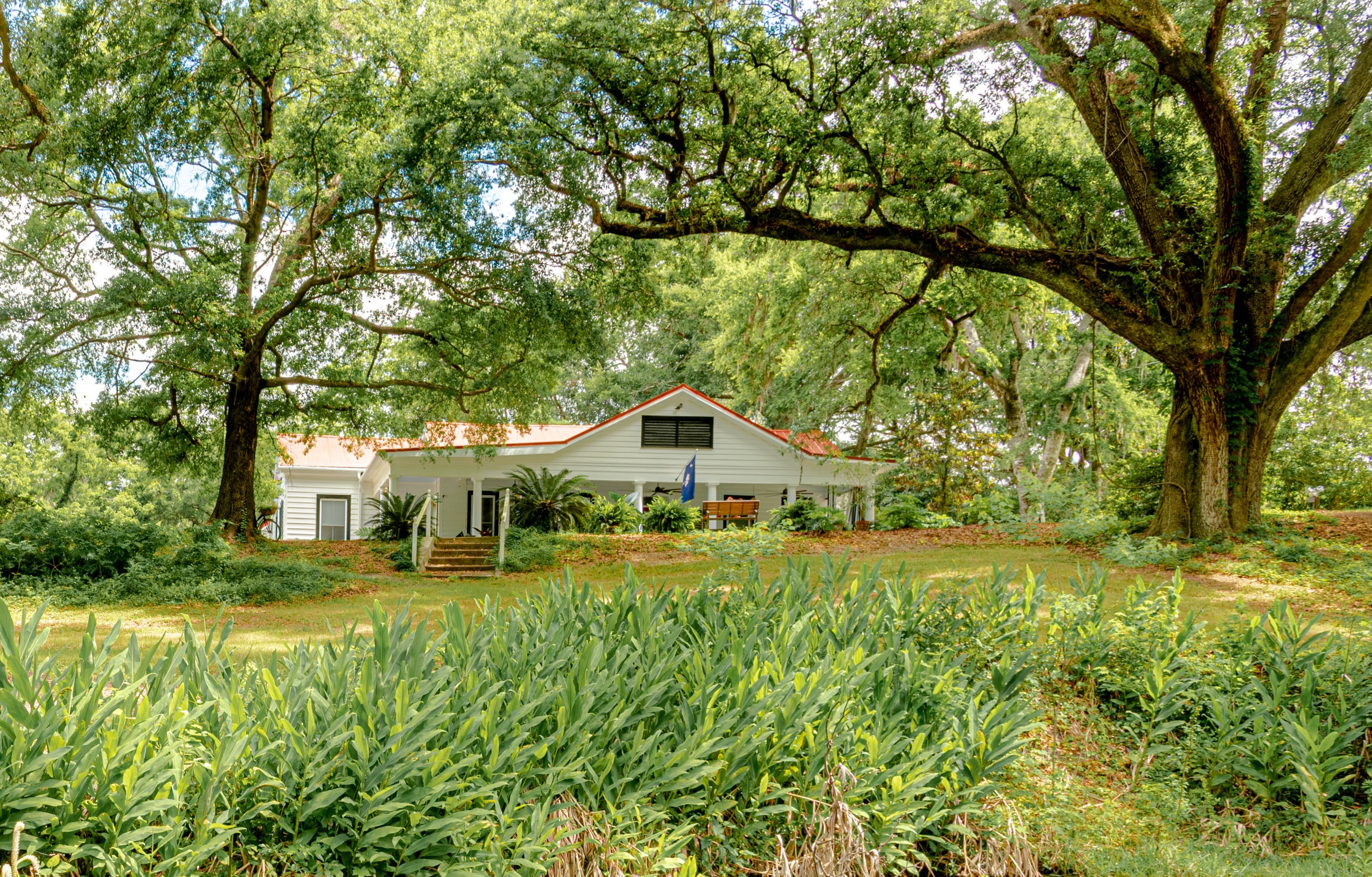 203 Witsell St, Walterboro SC  29488-3050 exterior