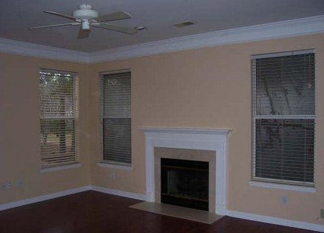 1316 Battery Hill Ct, Mount Pleasant, SC 29466