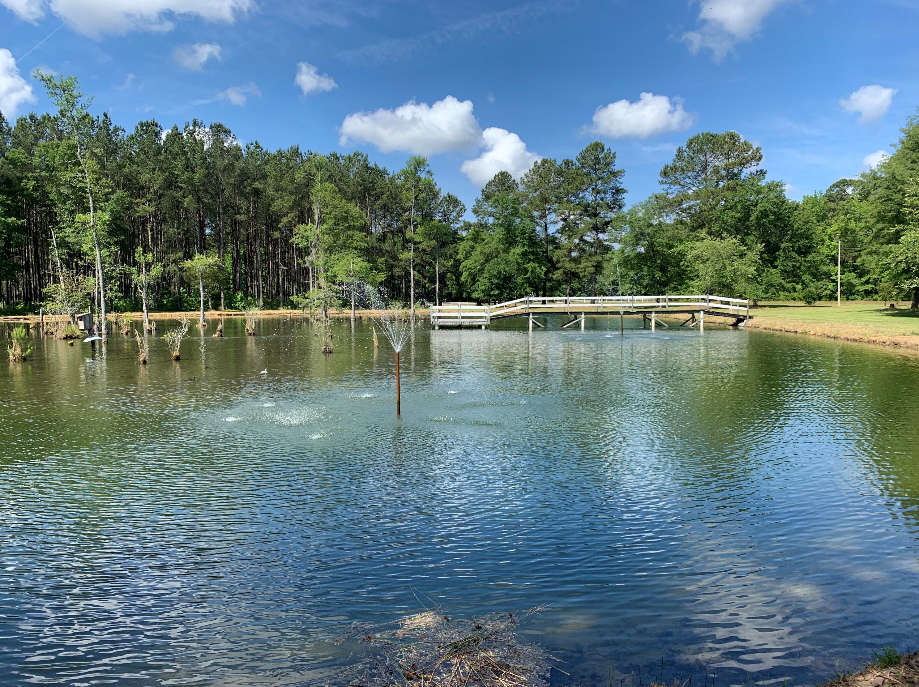 173 Four E Rd, Bowman, SC 29018