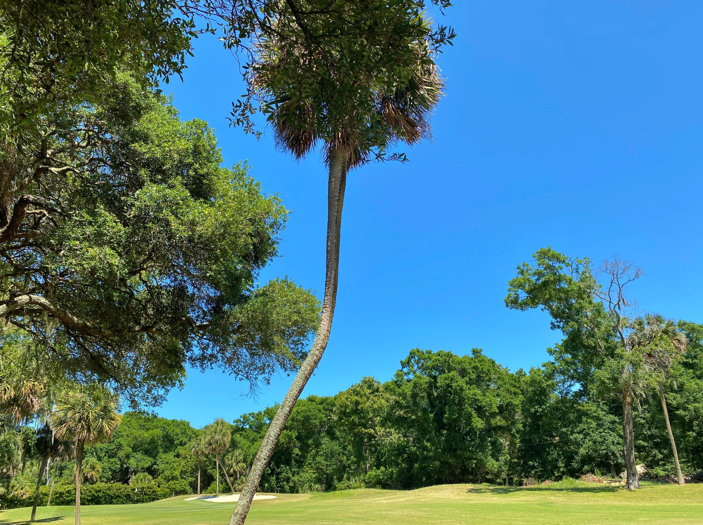 51 Windsor Ct, Edisto, SC 29438-3615