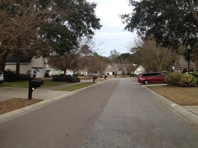 1308 Wild Olive Dr, Mount Pleasant, SC 29464
