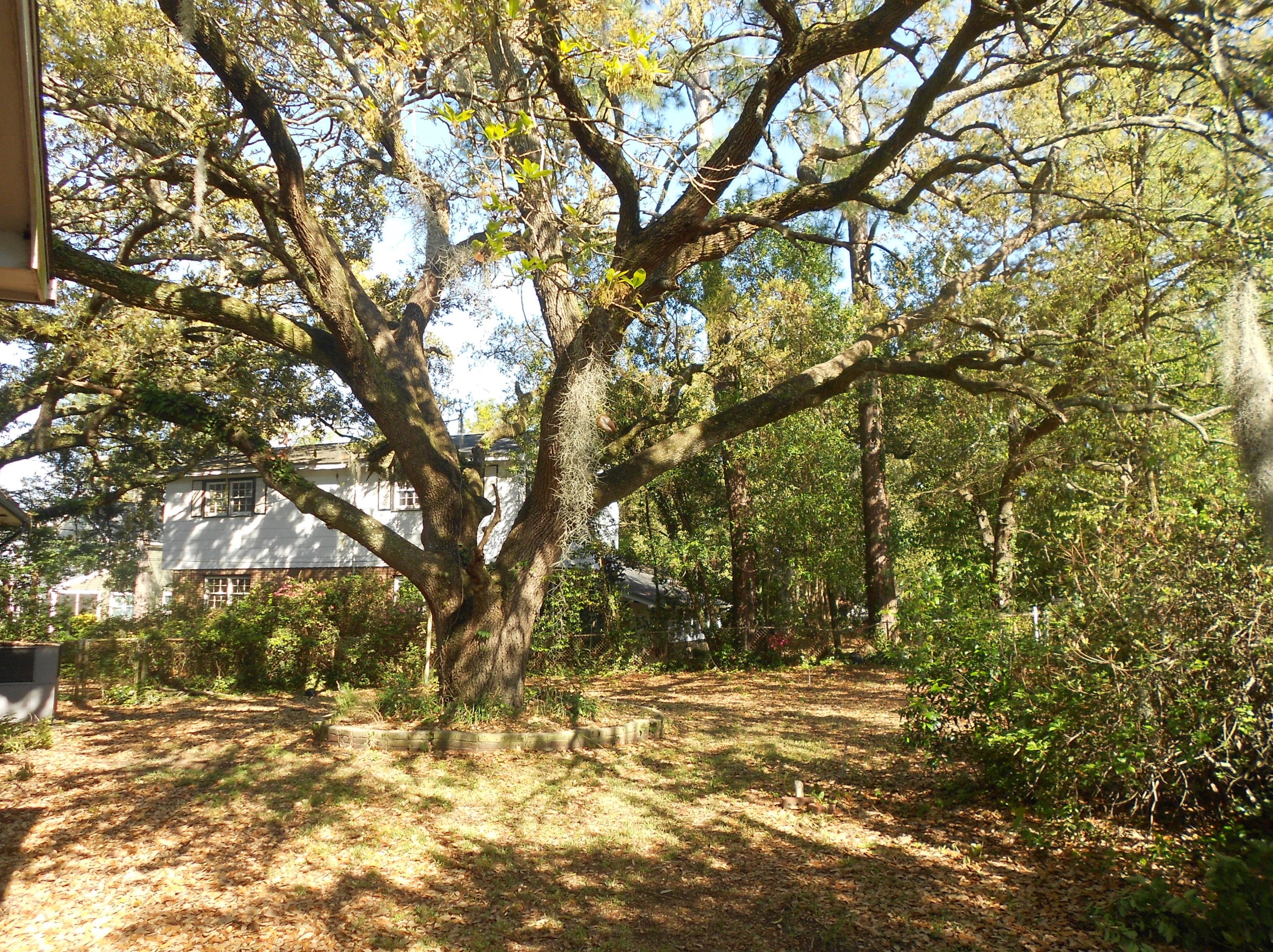 5102 Princeton St, Charleston, SC 29405