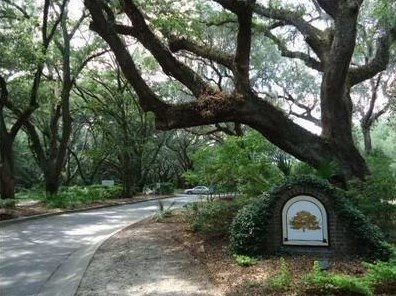 60 Fenwick Hall Aly Apt 726, Johns Island, SC 29455