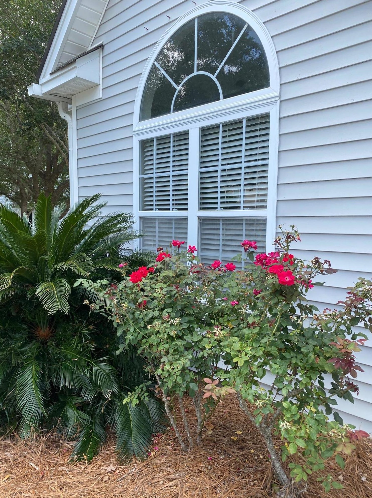 165 Dorothy Dr, Charleston, SC 29414-9198