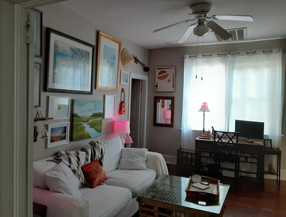 12 Trapman St, Charleston, SC 29401