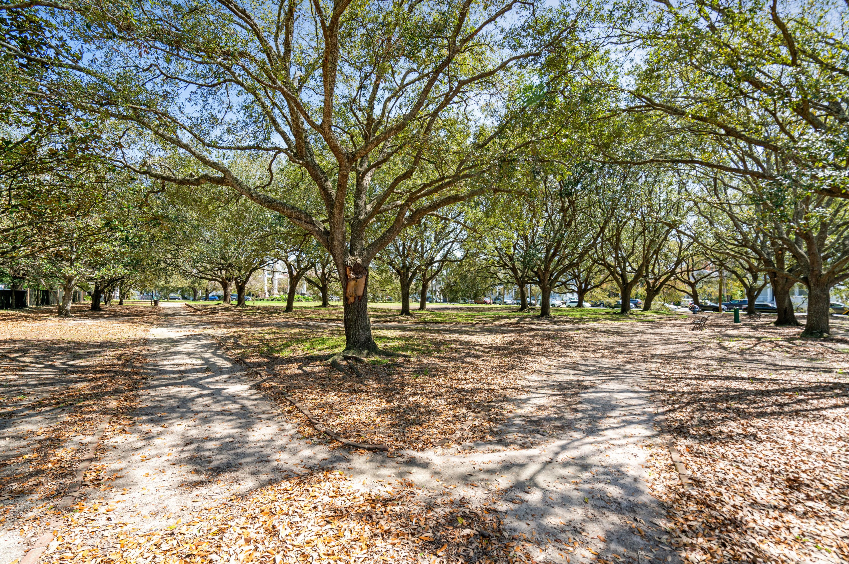 135 Ashley Ave, Charleston SC 29401-1804 exterior