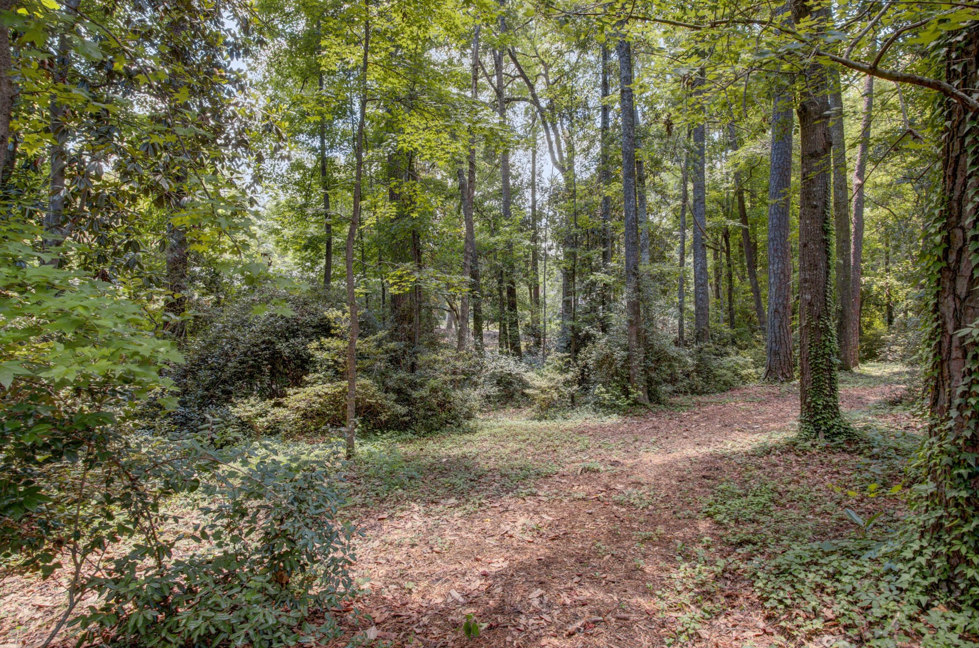 127 Tupper Ln, Summerville, SC 29483-4348