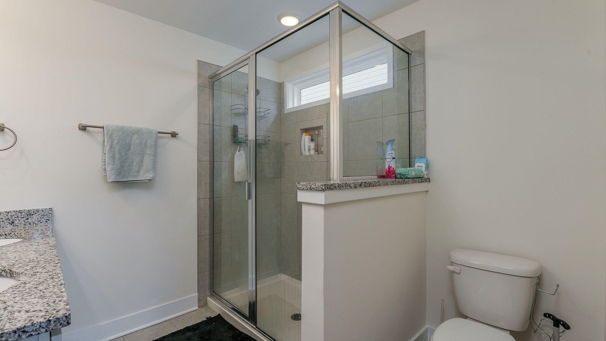 8206 Antler Dr, Charleston SC  29406-9847 exterior