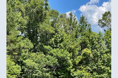 0000 Santee River Road - Photo 1