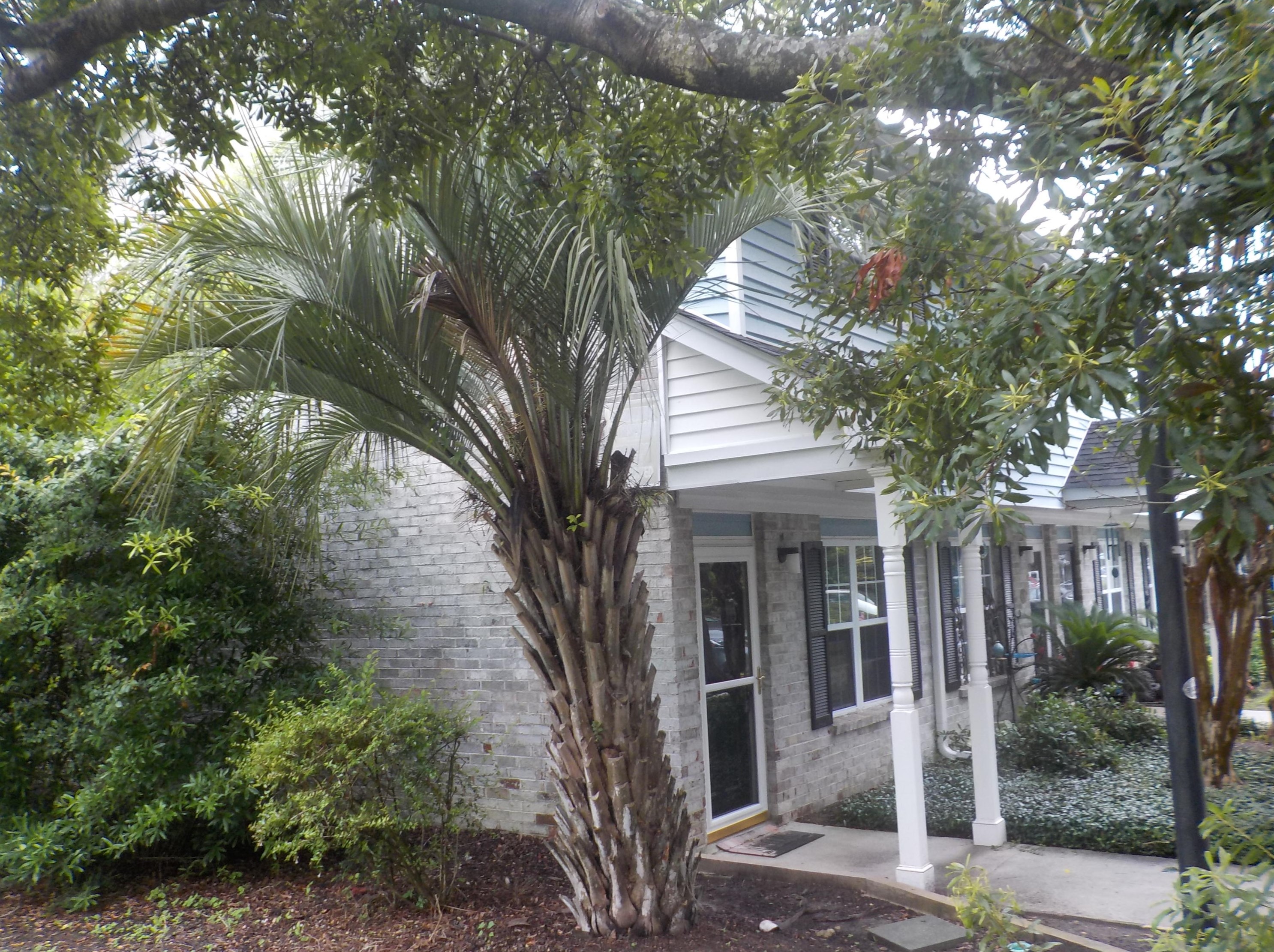 507 Stinson Dr #1a, Charleston, SC 29407