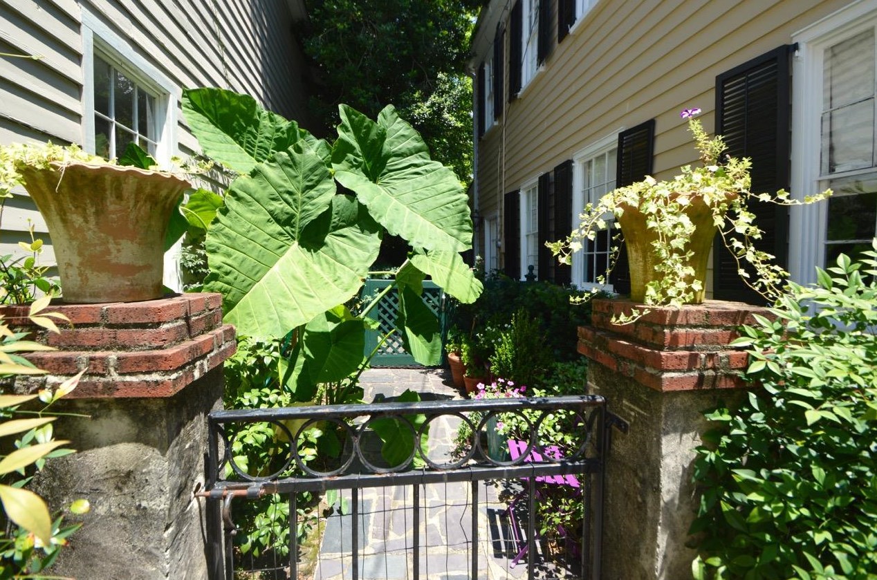 8 Trumbo St, Charleston SC  29401-1915 exterior
