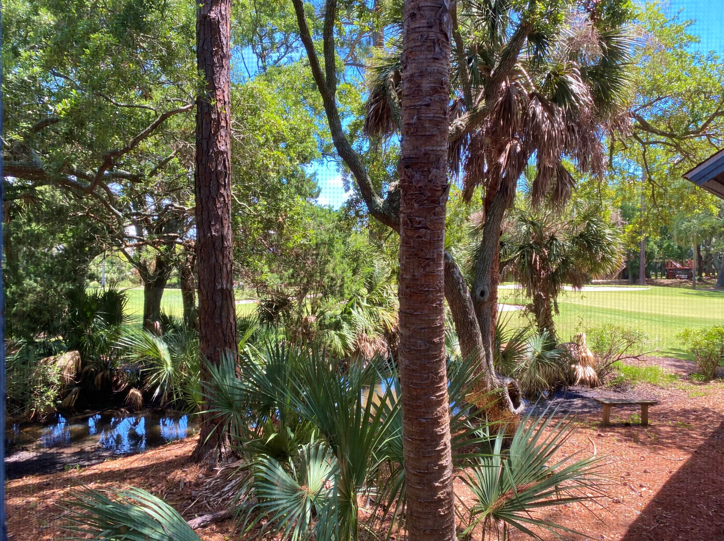 209 Sea Cloud Cir, Edisto, SC 29438-3622