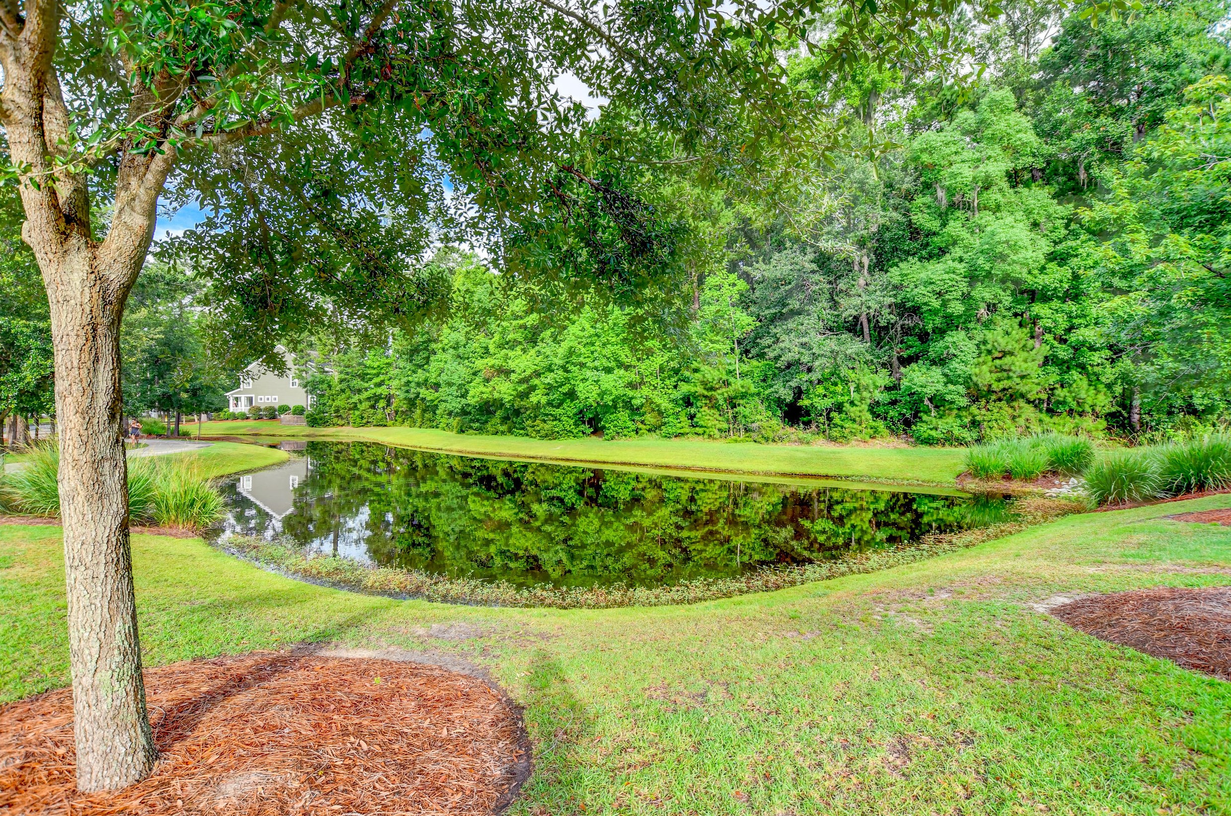 2556 Rutherford Way, Charleston, SC 29414-6666