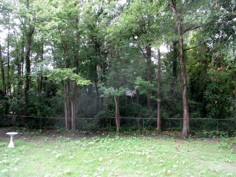 77 Guerry Cir, Charleston SC  29445-4277 exterior