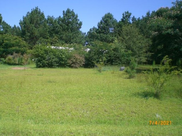 456 Walker Dr, Eutawville, SC 29048