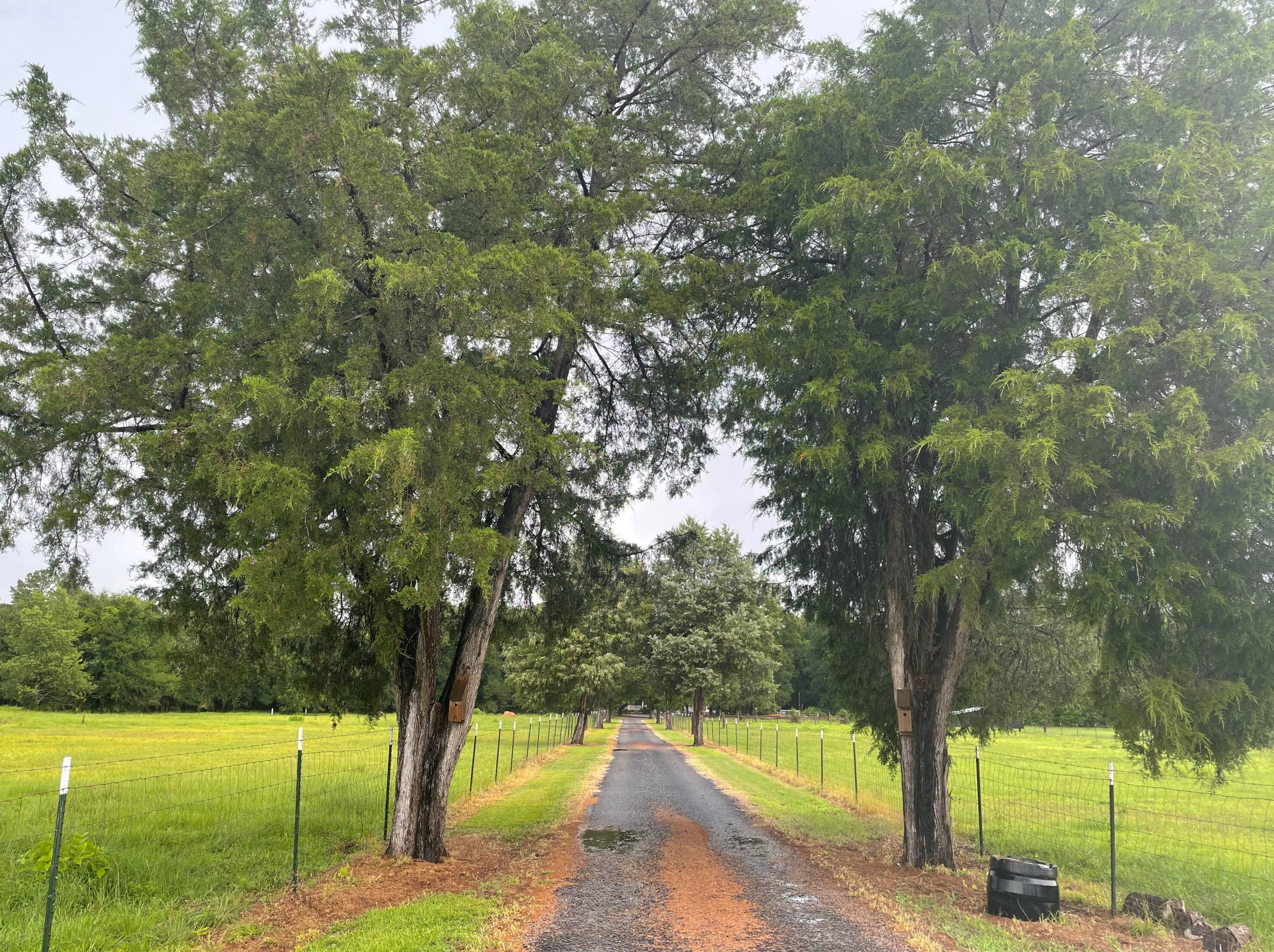 972 Sumter Hwy, Kingstree, SC 29556