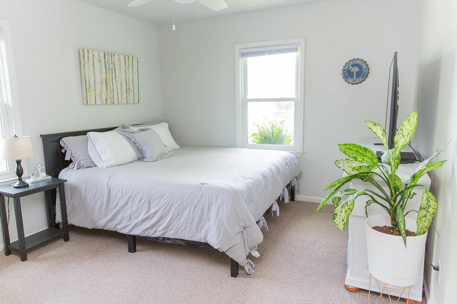 2911 Doncaster Dr, Charleston SC  29414-6723 exterior