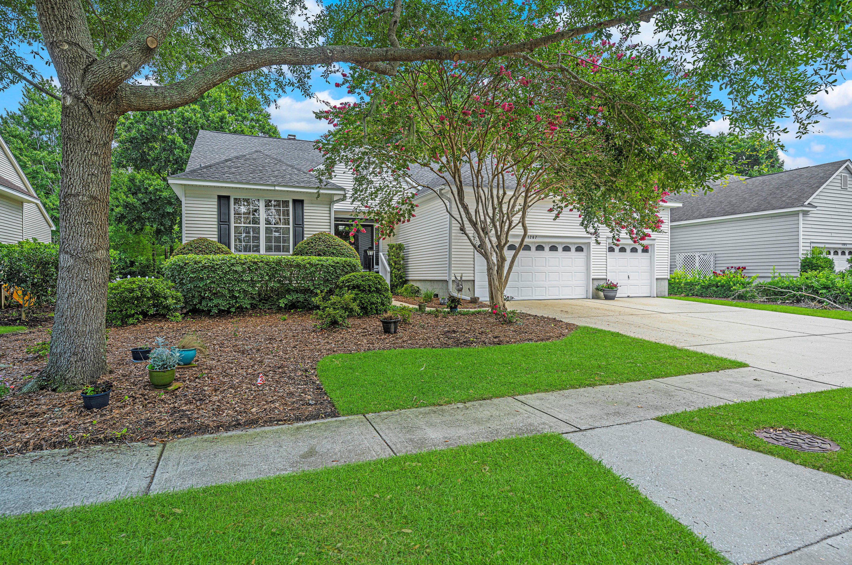 1267 Palmetto Peninsula Dr, Mount Pleasant, SC 29464