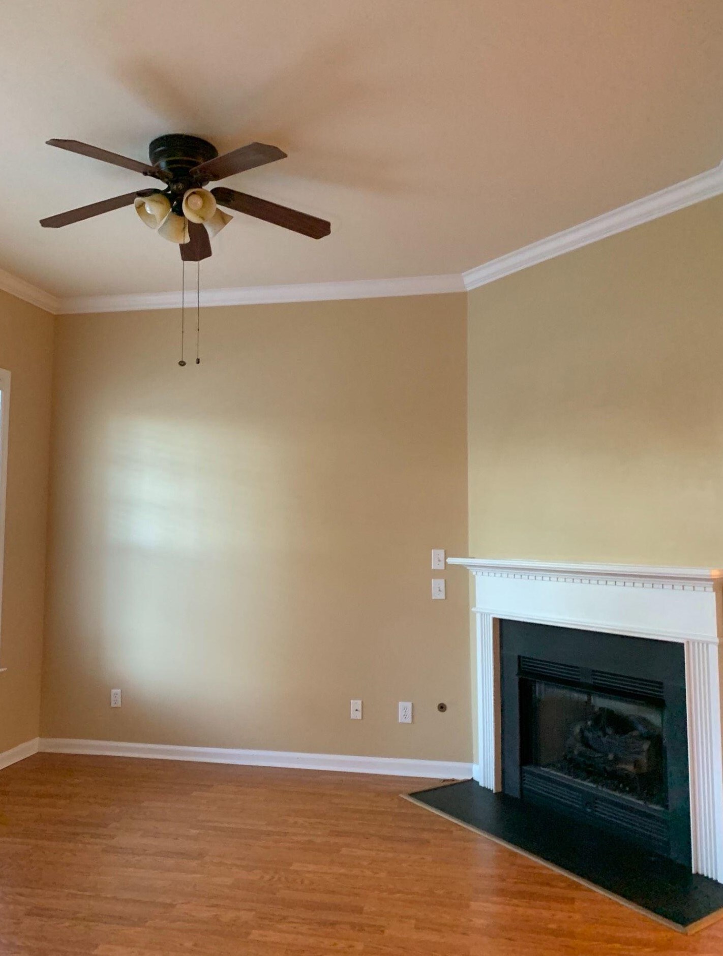 105 Barberry St, Summerville SC  29483-5539 exterior