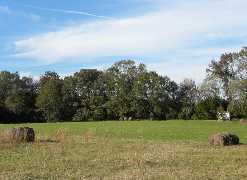 576 Featherbed Rd, Round O, SC 29474