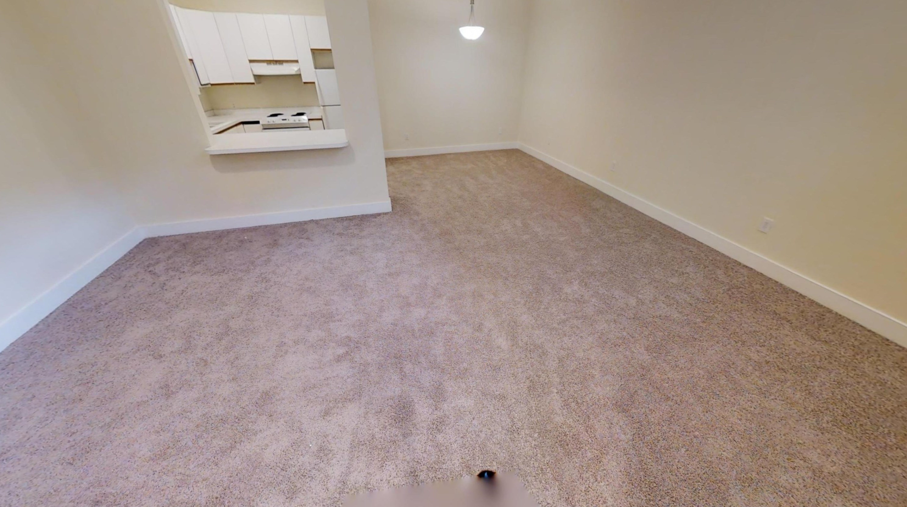 289 King St #h, Charleston, SC 29401