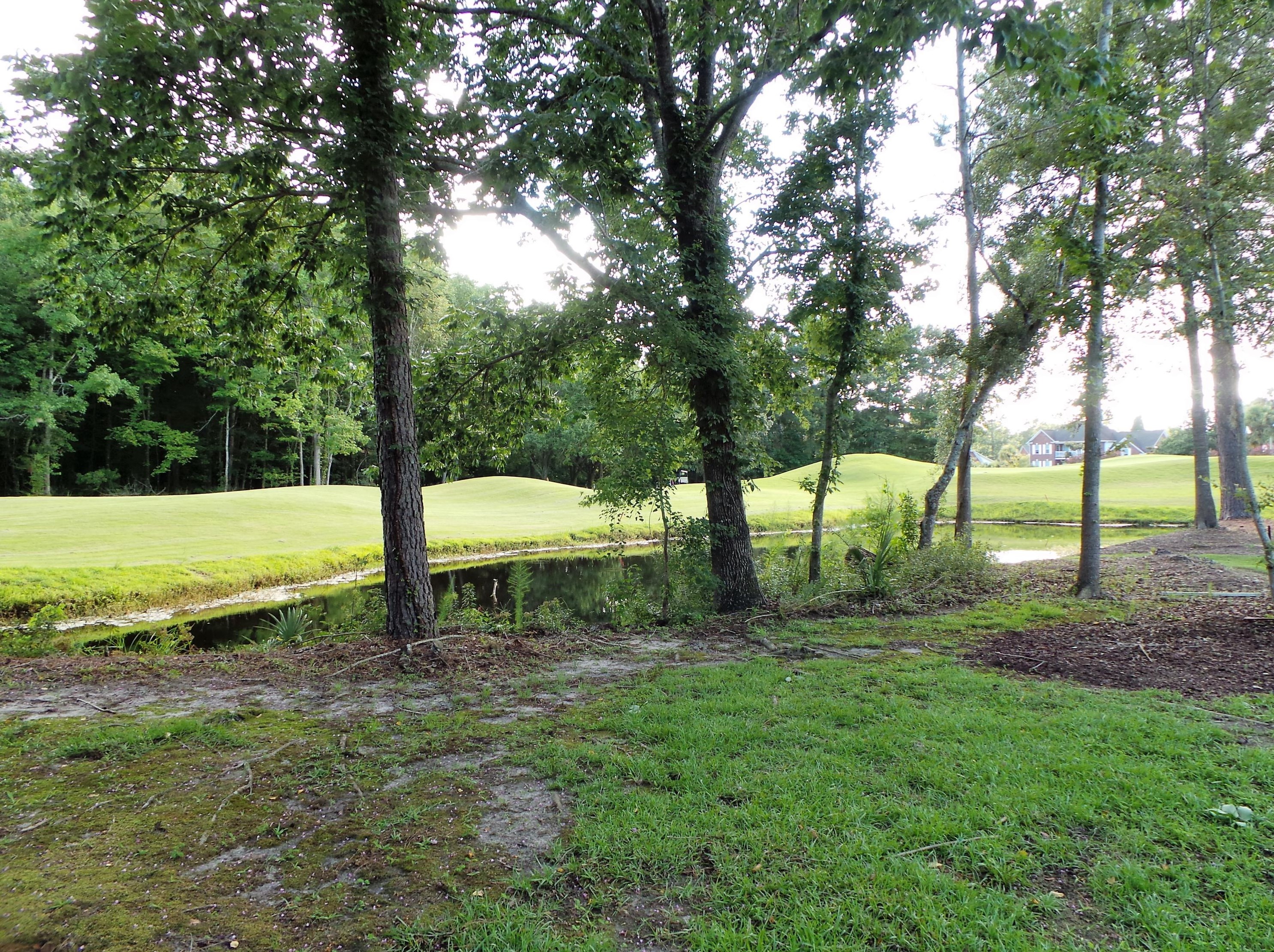 134 Welchman Ave, Charleston SC  29445-7152 exterior