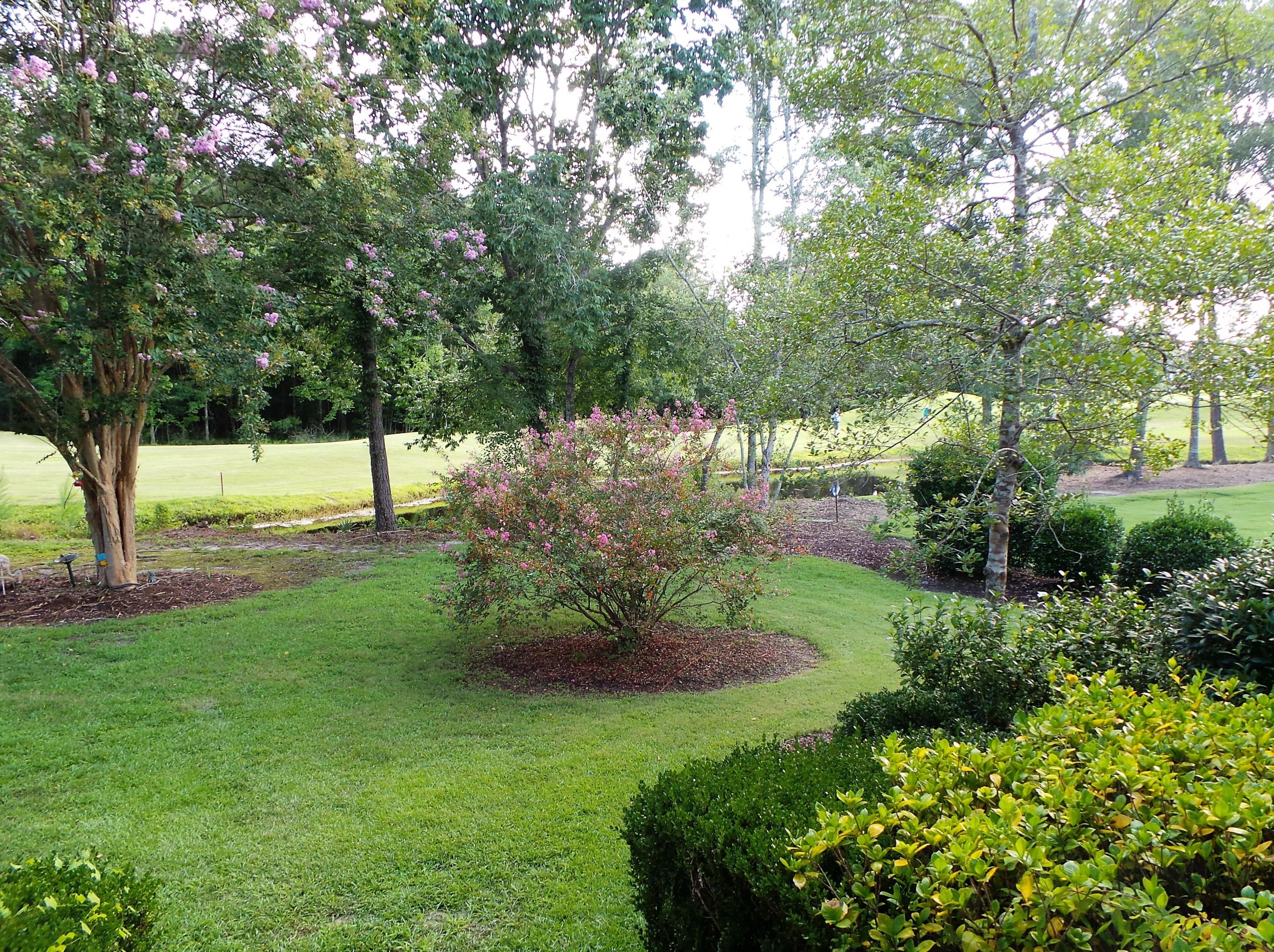 134 Welchman Ave, Charleston SC  29445-7152 exterior