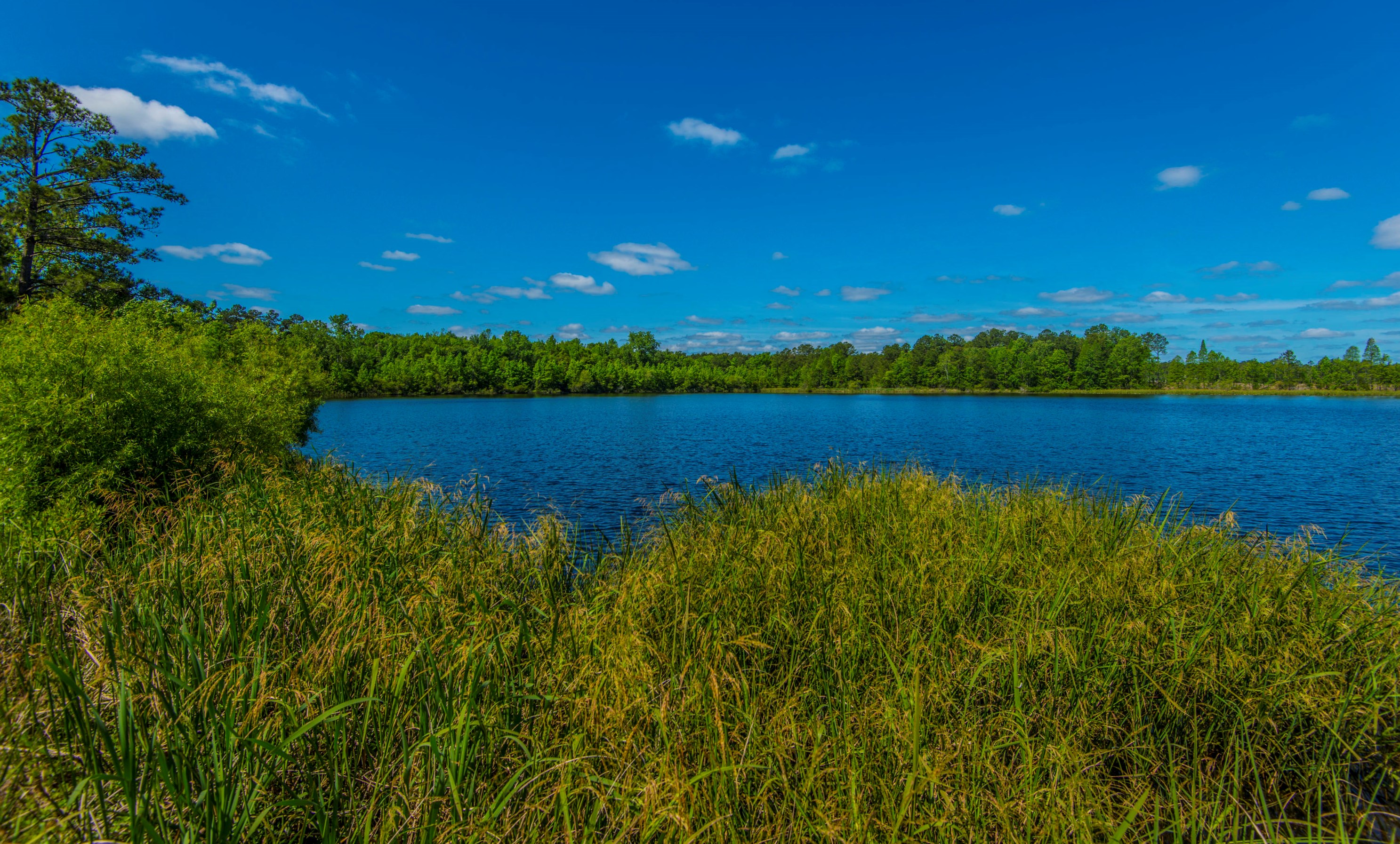 209 Red Leaf Blvd, Moncks Corner SC  29461-8881 exterior