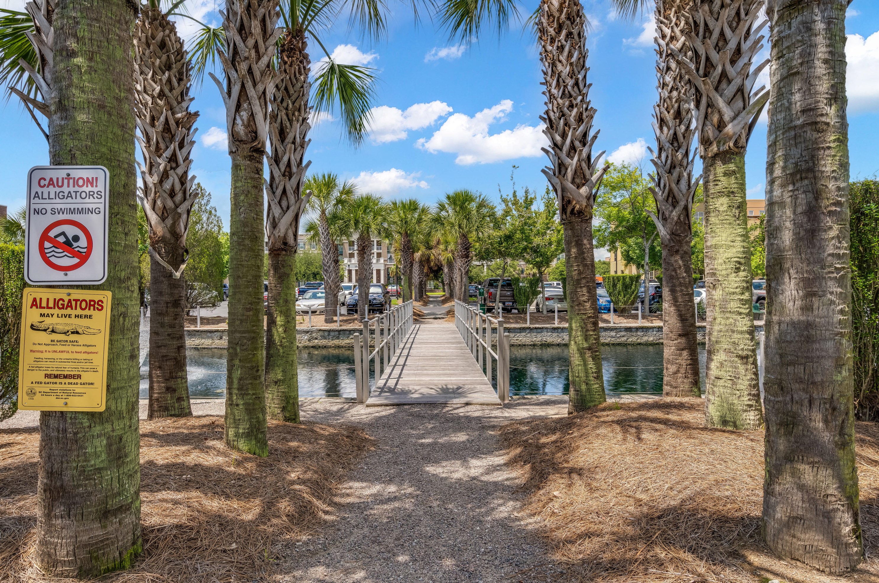 200 River Landing Dr, Charleston SC  29492-8282 exterior