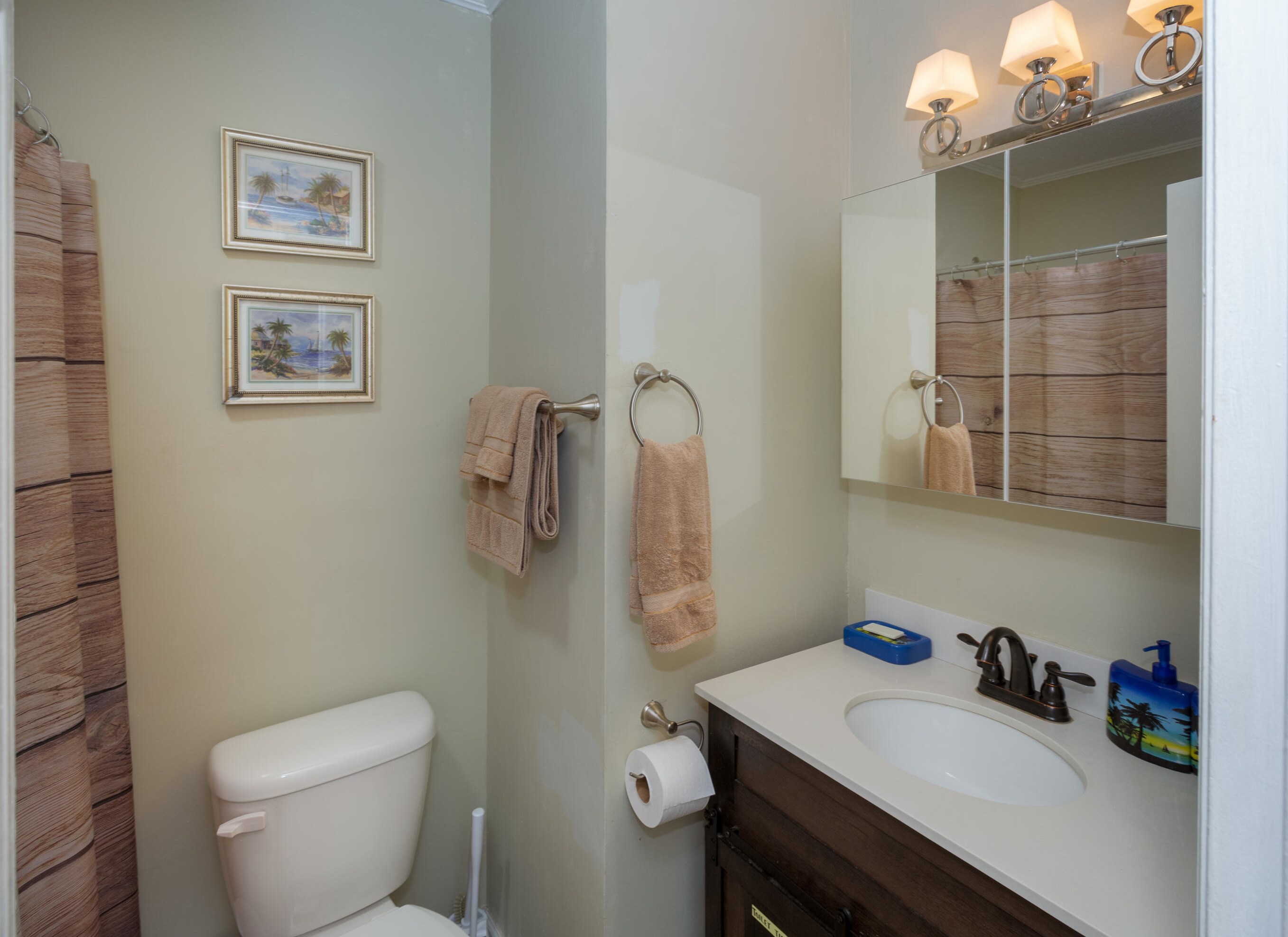 704 Tulip St, Summerville SC  29483-3953 exterior