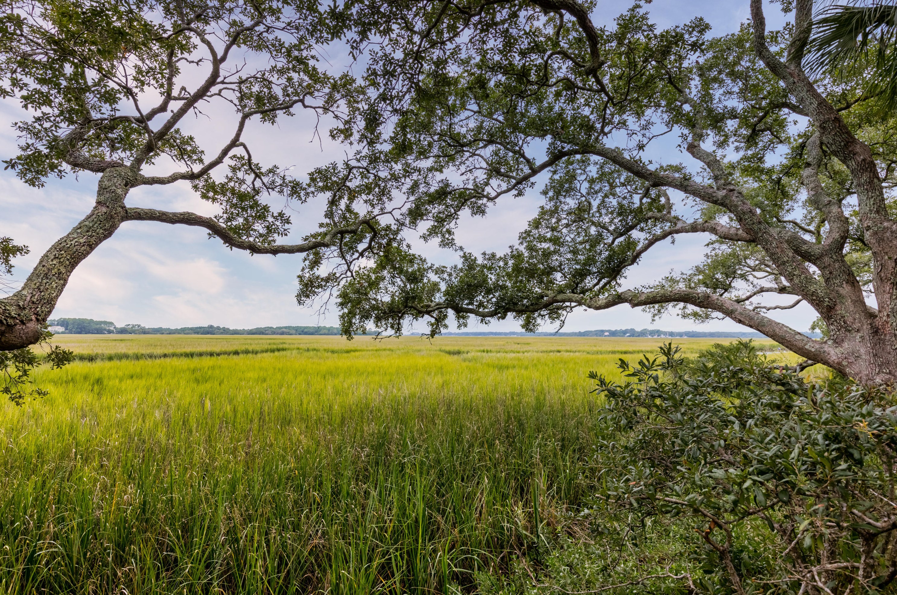 1706 Live Oak Park, Johns Island, SC 29455