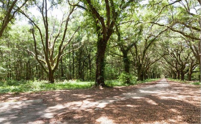 60 Fenwick Hall Aly Apt 1212, Johns Island, SC 29455