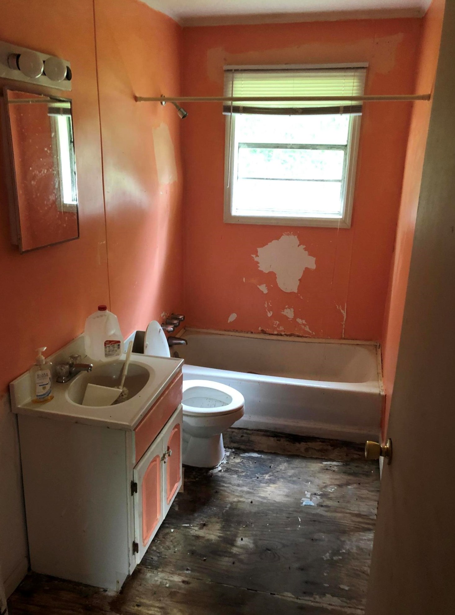 296 Deloach Ave, Walterboro SC  29488-4704 exterior