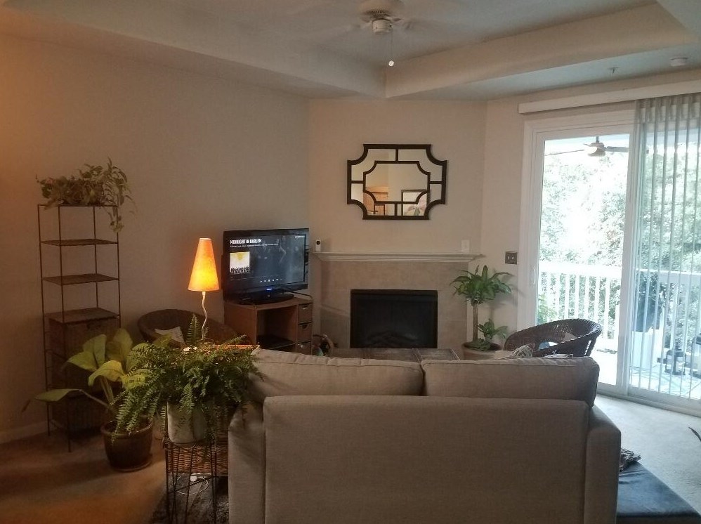 60 Fenwick Hall Allee #337, Johns Island, SC 29455