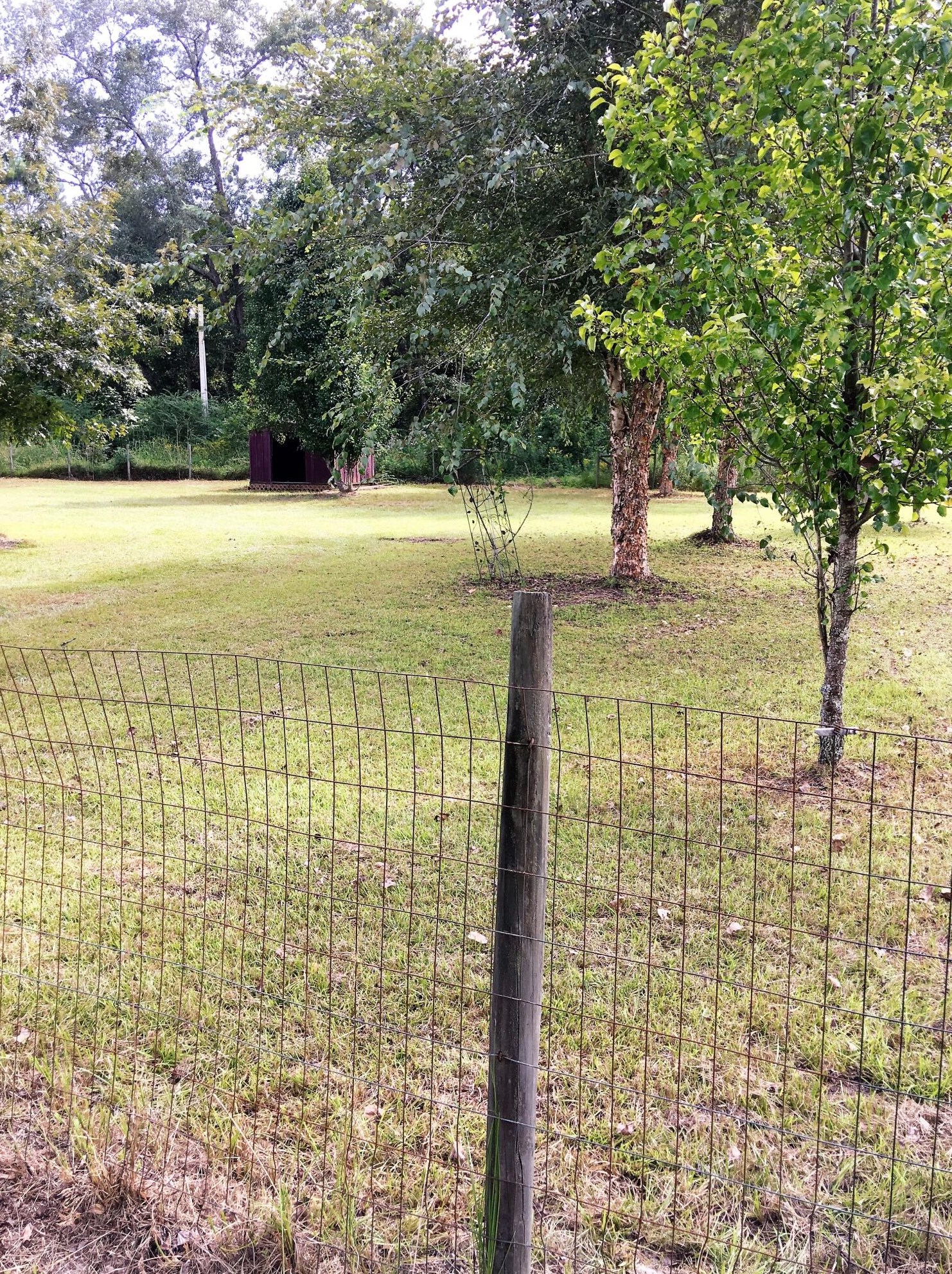 1785 Ruffin Rd, Walterboro SC 29488-9050 exterior