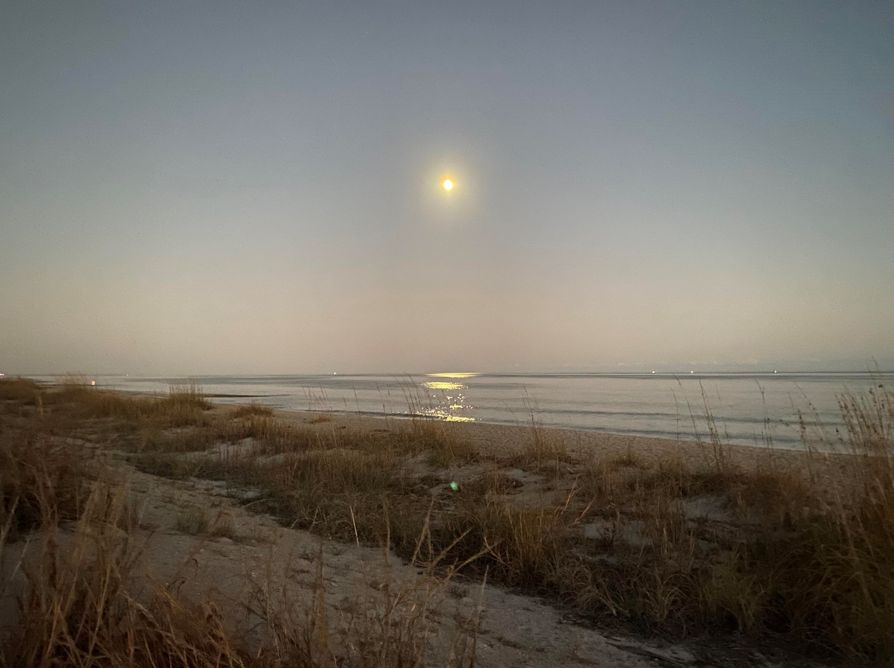 511 Palmetto Blvd, Edisto, SC 29438